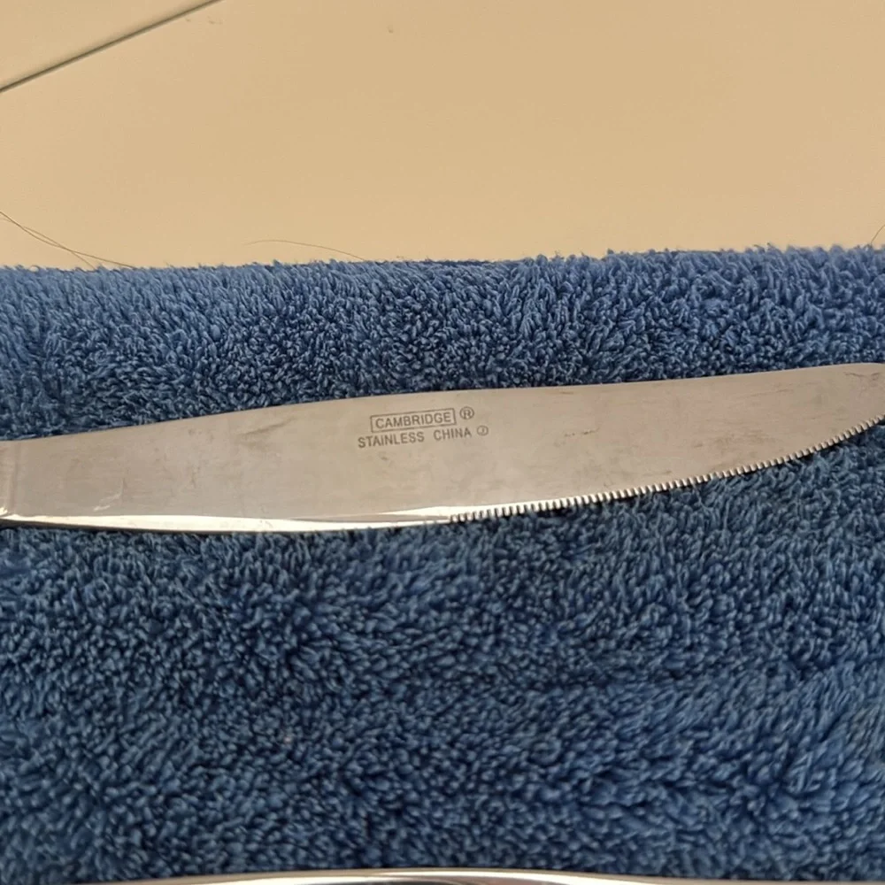 Landscape by Cambridge Stainless Table Knives Set of Two Discontinued Piece